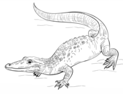 Reptiles coloring pages free coloring pages