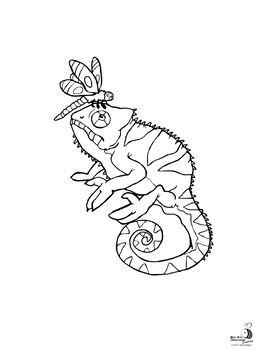 Distance activity reptile coloring page chameleon simple tpt