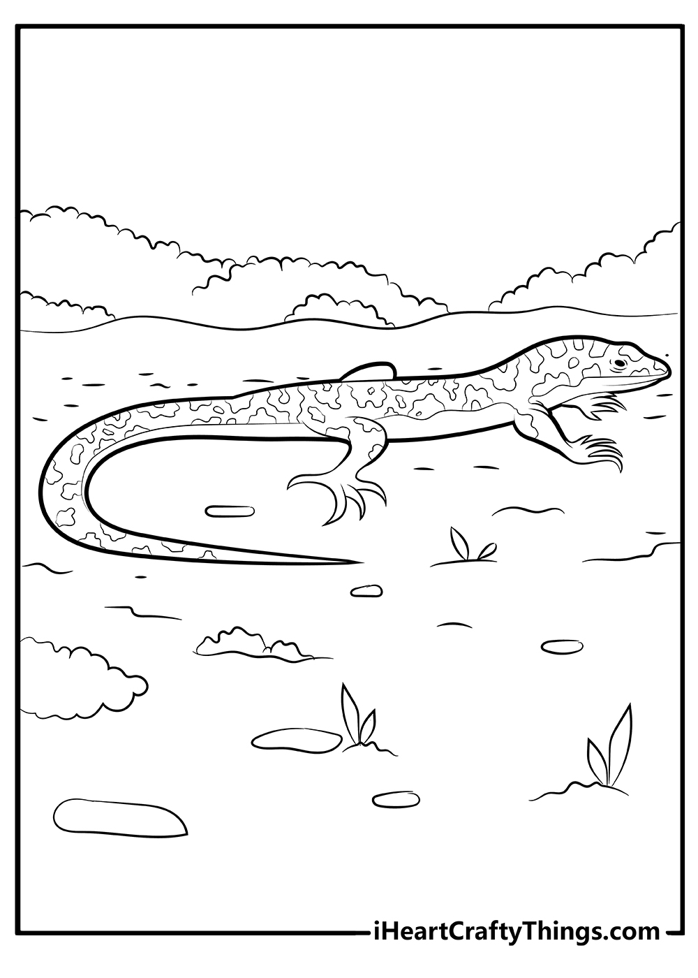 Lizard coloring pages free printables