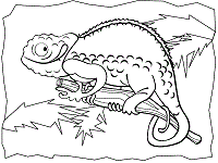 Reptiles coloring pages and printable activities