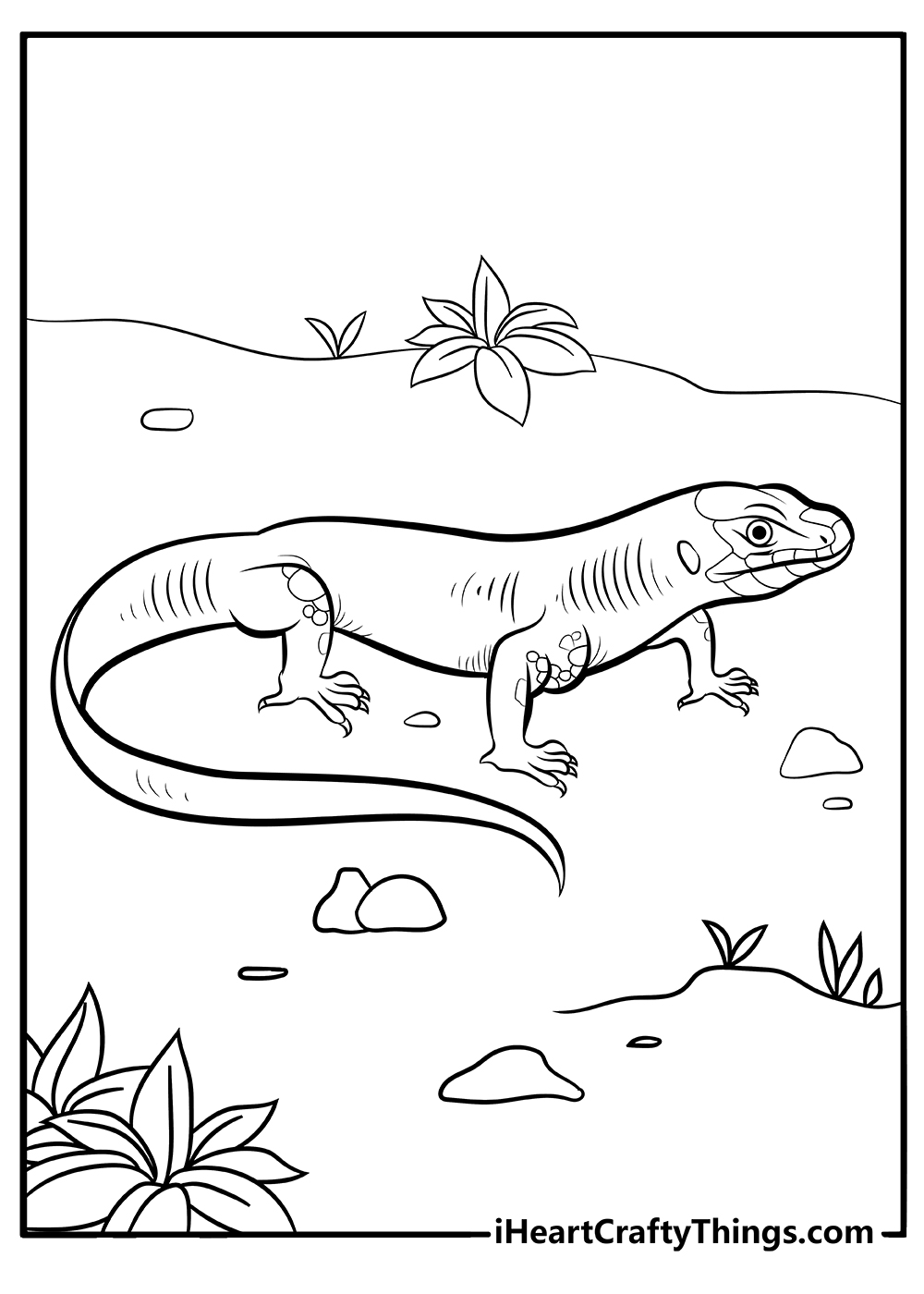 Lizard coloring pages free printables