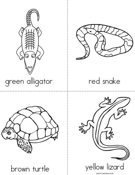 Reptile colors mini book mini books kindergarten worksheets reptiles