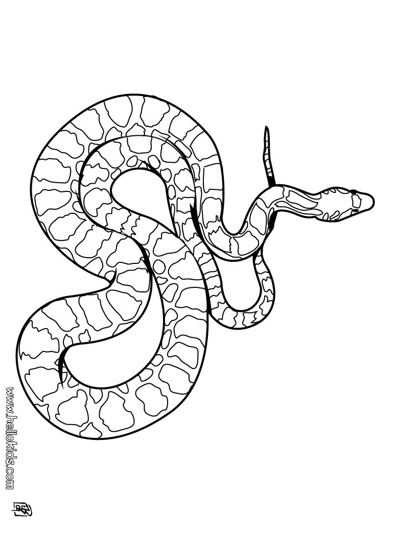 Boa snake coloring pages