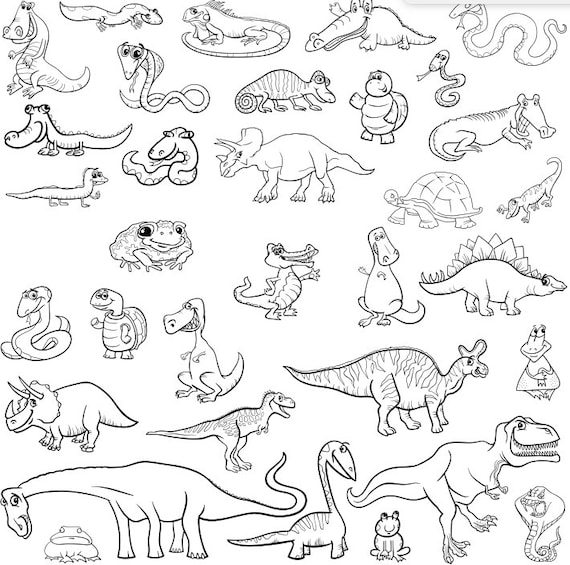 Reptile coloring pages for kids printable digital instant download of reptiles and amphibians for children