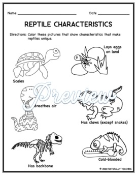 Reptile characteristics coloring worksheet free by naturally teaching