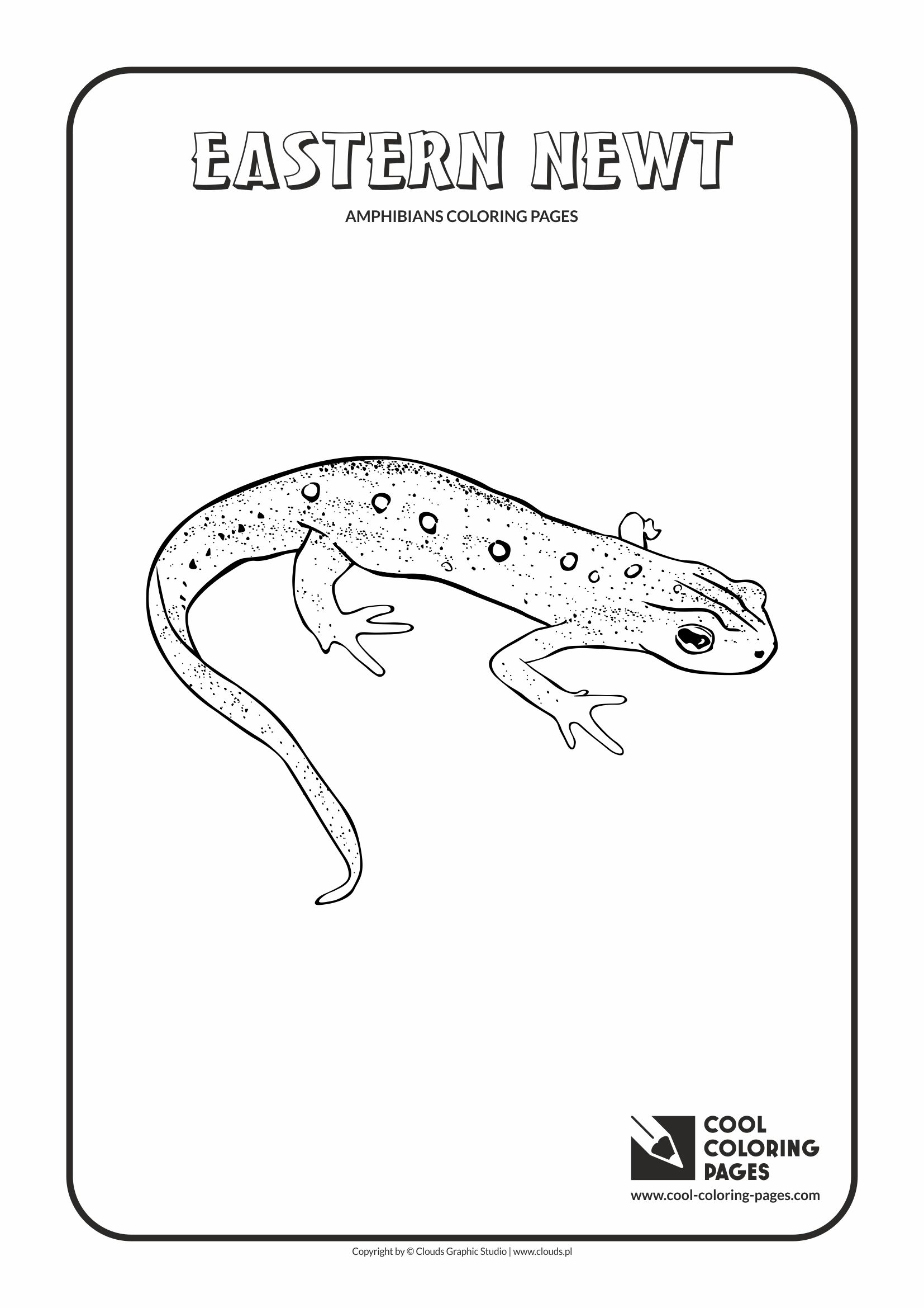 Cool coloring pages amphibians and reptiles coloring pages