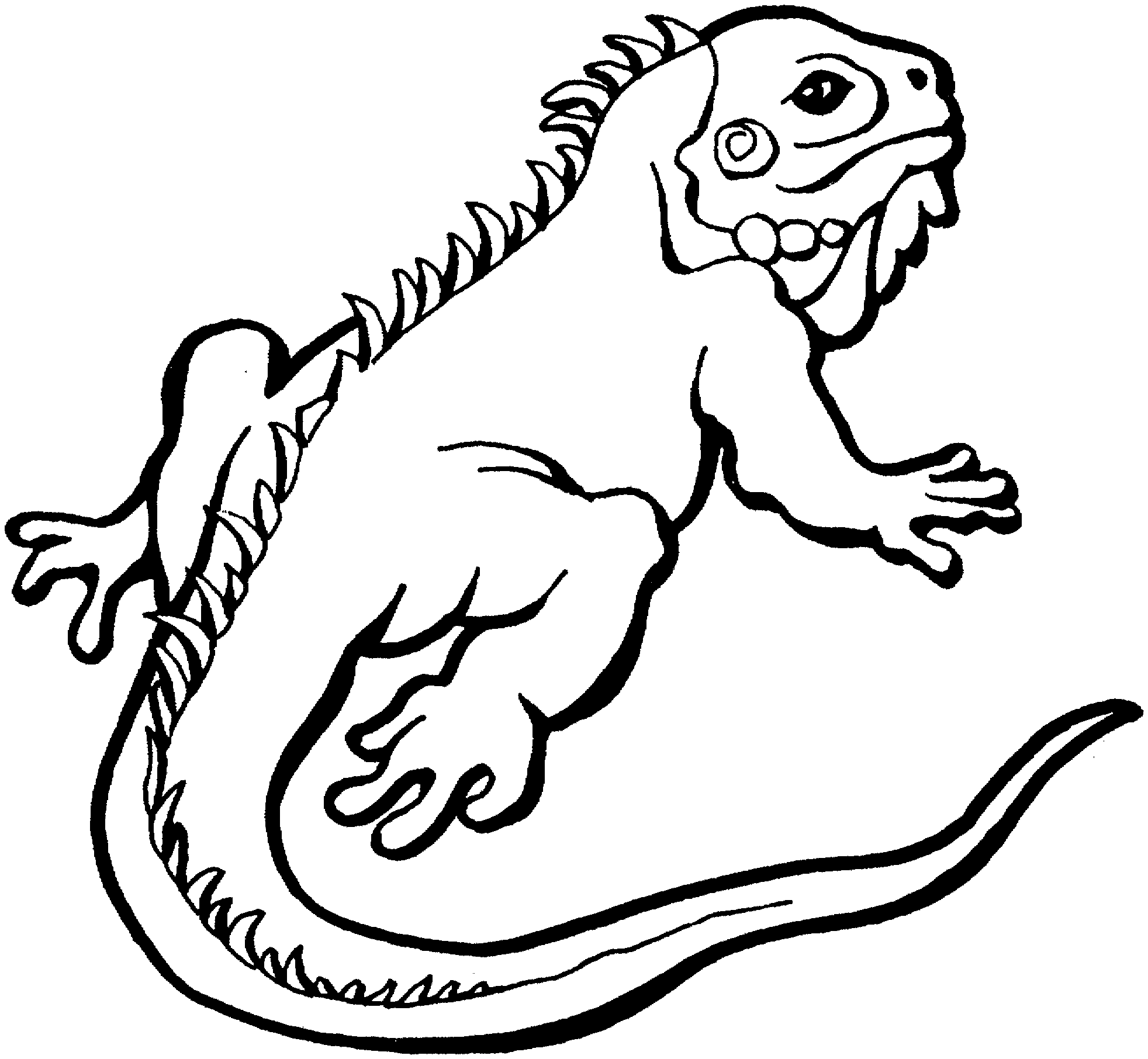 Reptile coloring pages