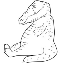 Reptile coloring pages