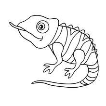 Reptile coloring pages