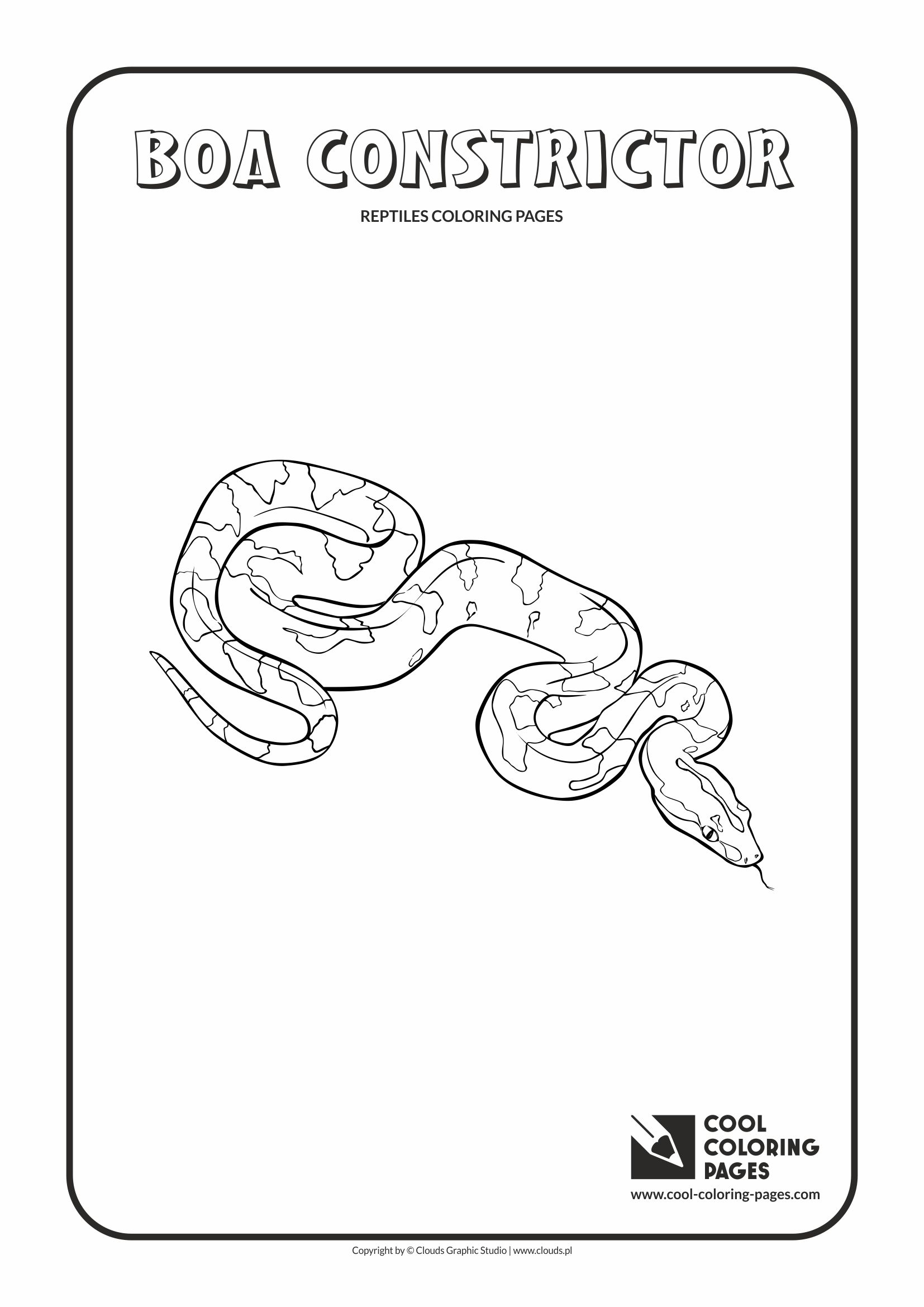 Cool coloring pages amphibians and reptiles coloring pages