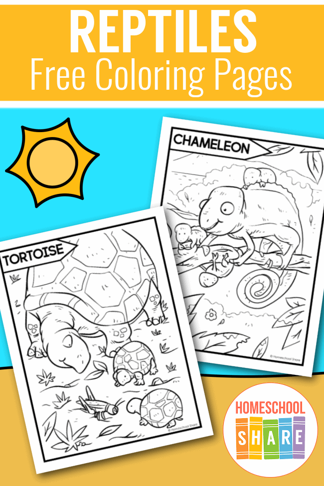 Reptiles coloring pages