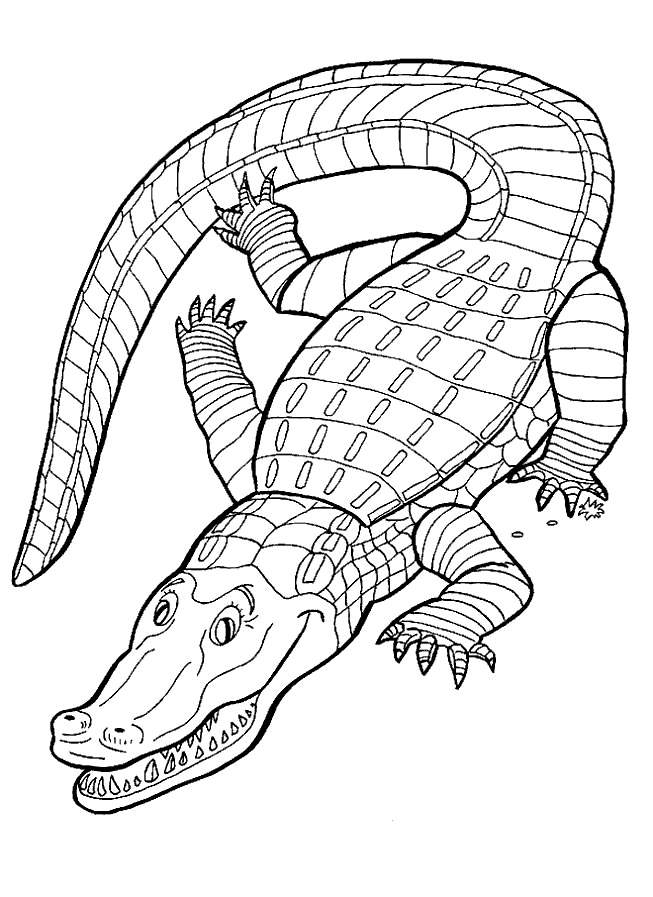 Reptile coloring pages