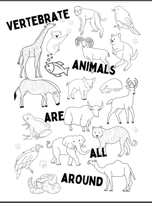 Vertebrate animals coloring page â hopscotch