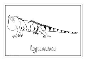 Reptiles printables for primary school