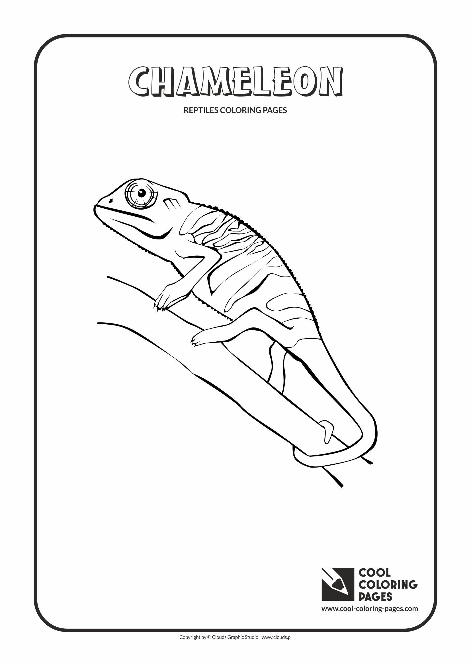 Cool coloring pages amphibians and reptiles coloring pages