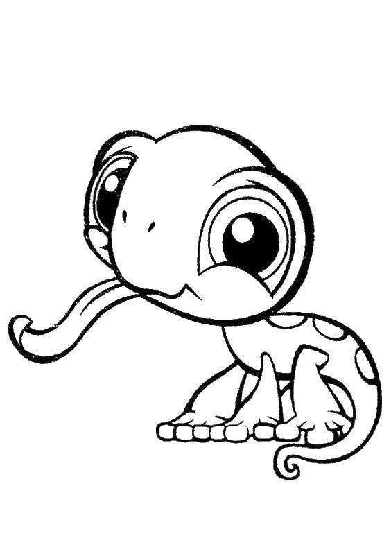 Online coloring pages playful coloring playful lizard reptiles