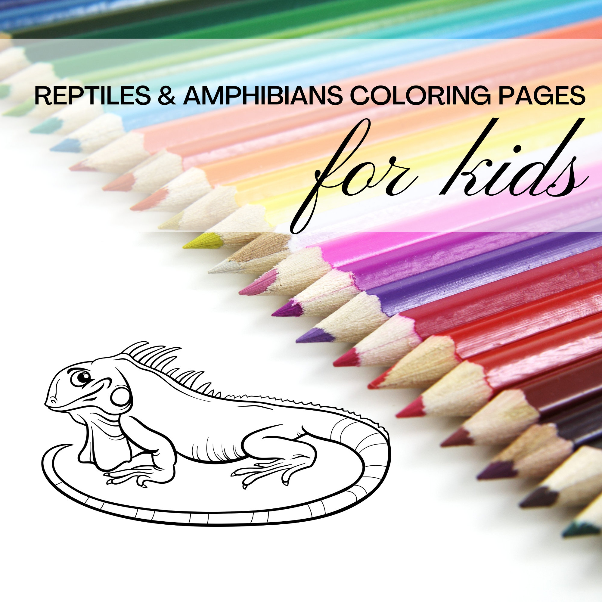 Reptile coloring pages for kids printable digital instant download of reptiles and amphibians for children