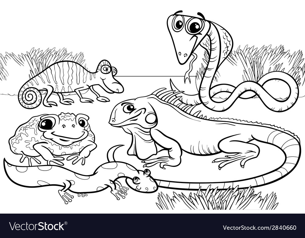 Reptiles and amphibians coloring page royalty free vector