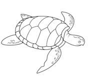 Reptiles coloring pages free coloring pages