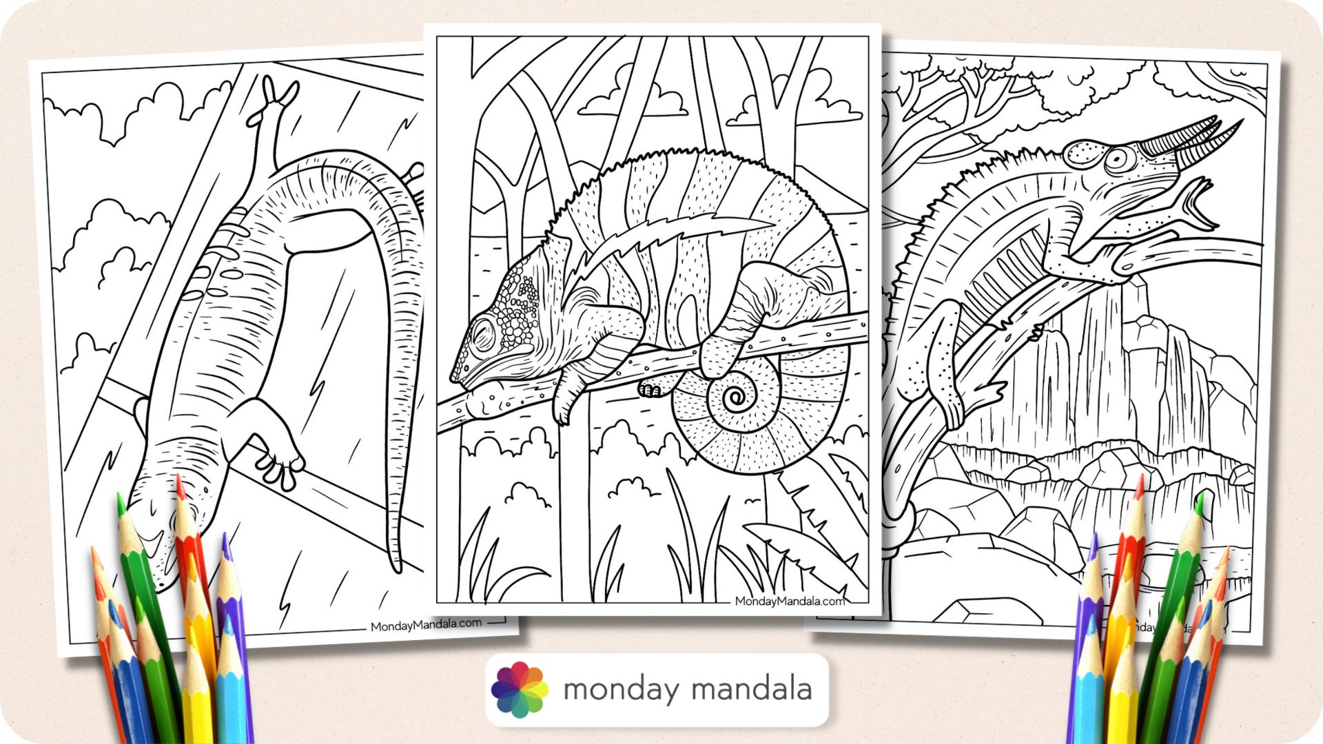 Lizard coloring pages free pdf printables