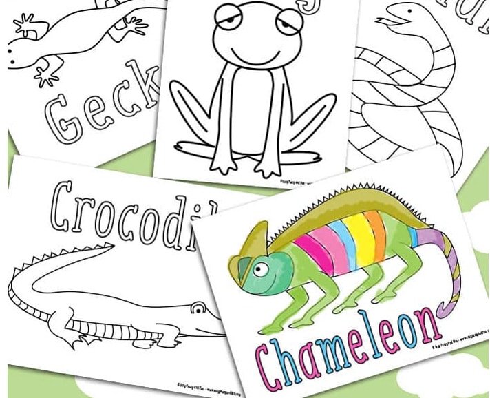 Free reptile coloring pages from easy peasy and fun