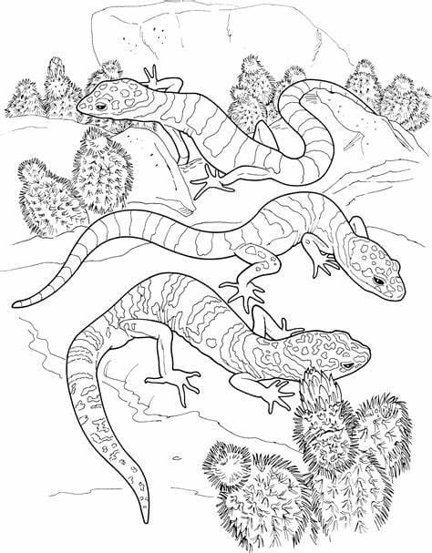 Print lizards coloring page