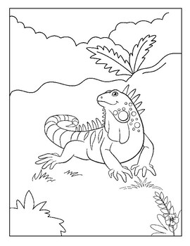 Reptiles animals coloring pages