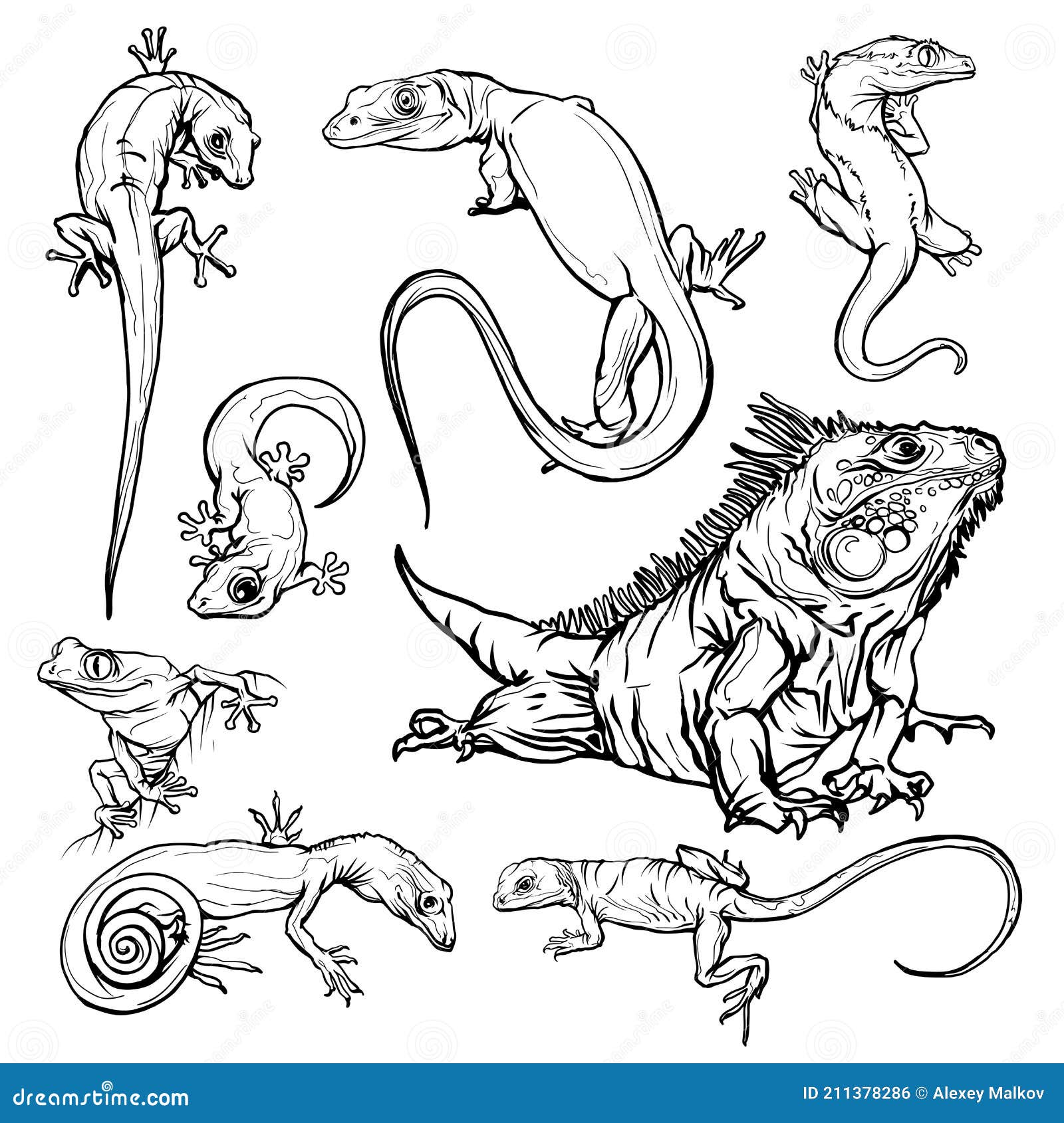 Set with beautiful different reptiles and lizards reptiles coloring page hand drawn illustration stock illustration