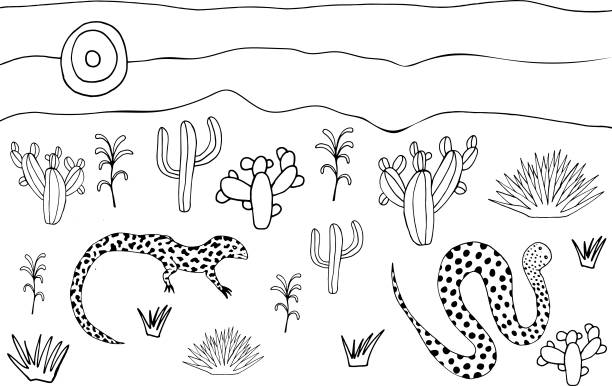 Coloring page with reptiles and plants in desert stock illustration