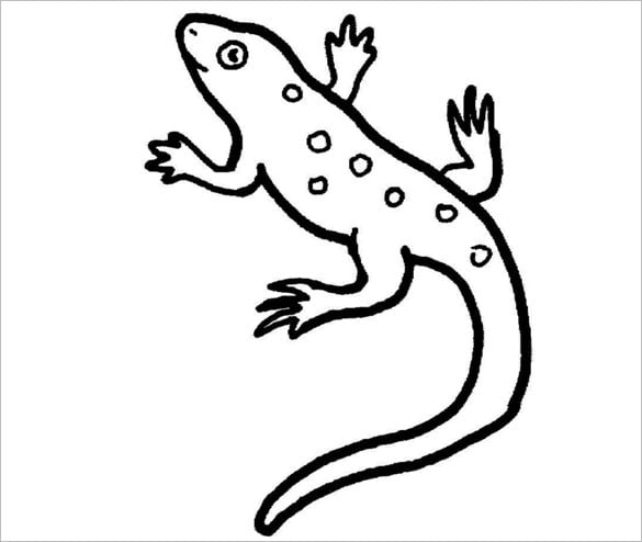 Lizard s crafts colouring pages