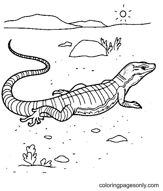 Lizard coloring pages printable for free download