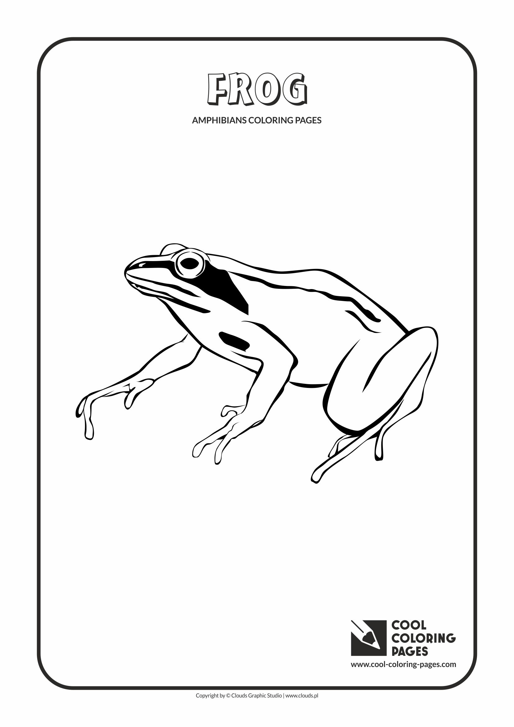 Cool coloring pages amphibians and reptiles coloring pages