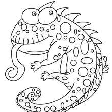 Reptile coloring pages