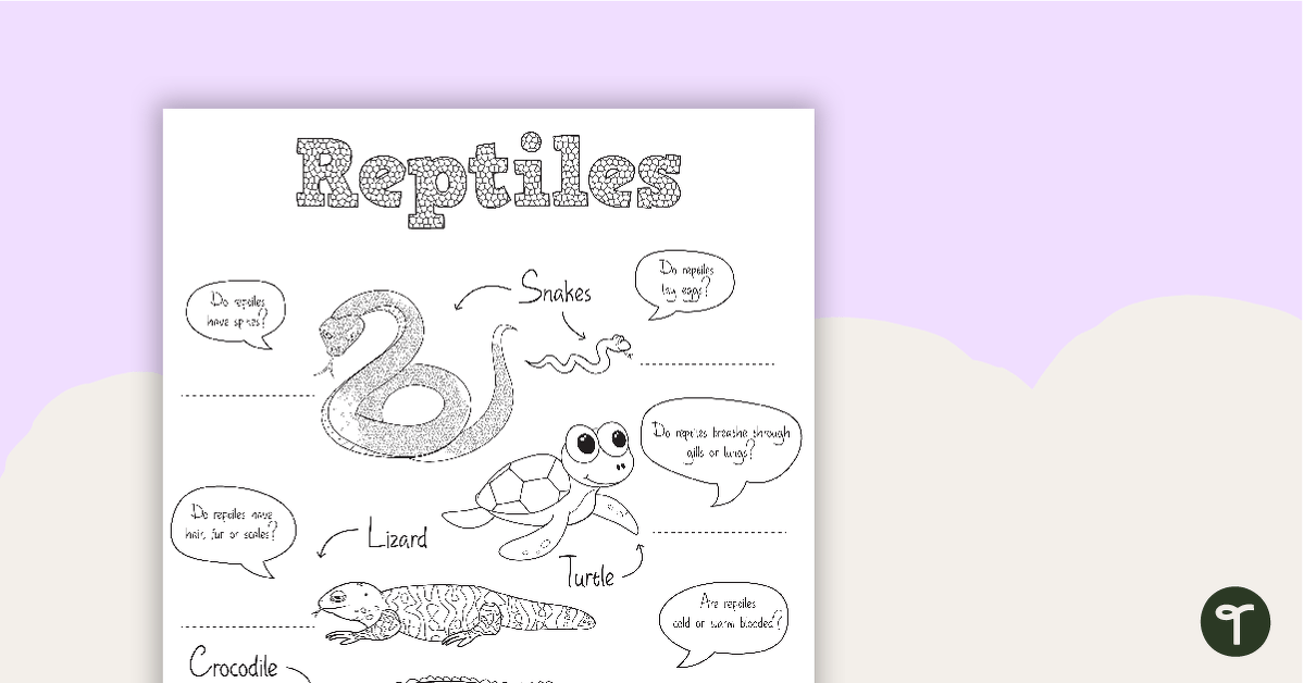 Reptile worksheet teach starter