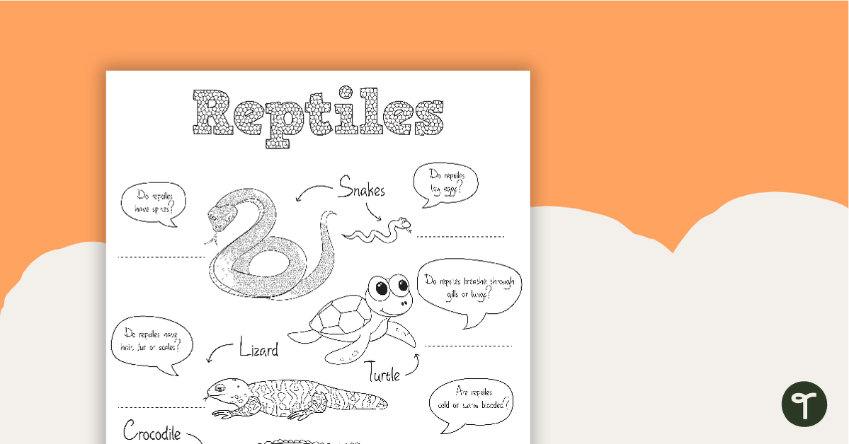 Reptile worksheet teach starter