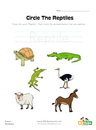 Circle the reptiles worksheet all kids network