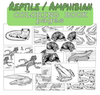 Reptile and amphibian coloring pages for any age by artsymath