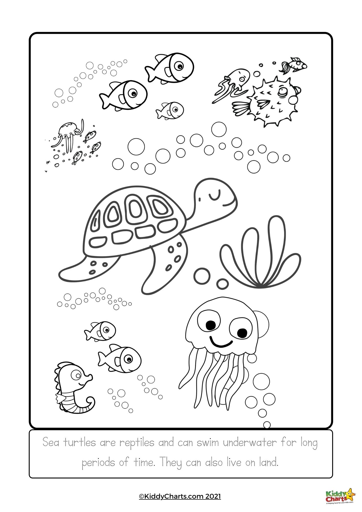 Turtle coloring pages turtle colouring and facts