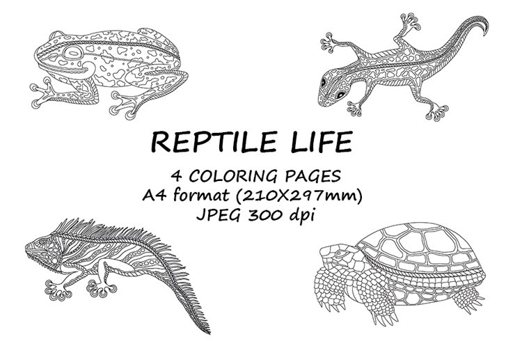 Reptile coloring pages design bundles