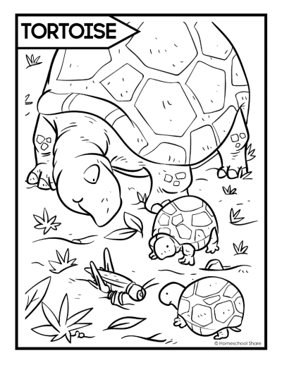 Reptiles coloring pages