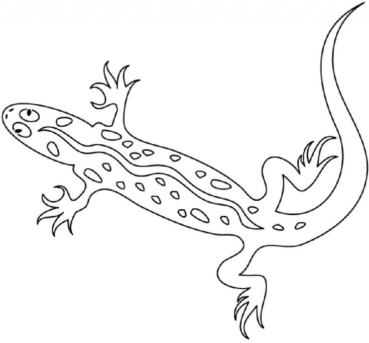 Lizard coloring pages for kids wwwhotelstenata