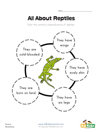 All about reptiles worksheet all kids network