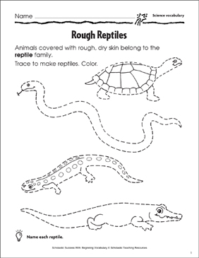 Rough reptiles science printable skills sheets