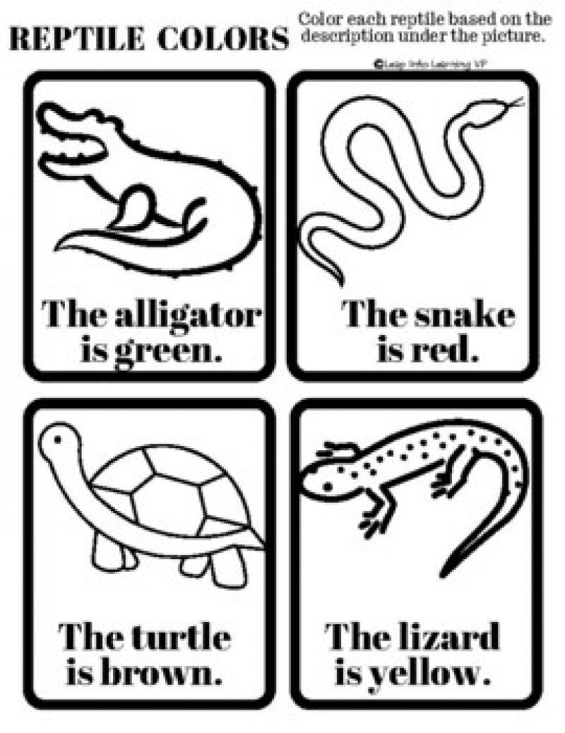 Reptile themed learning packet â leap into learning