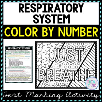 Respiratory system digital reading passage and questions