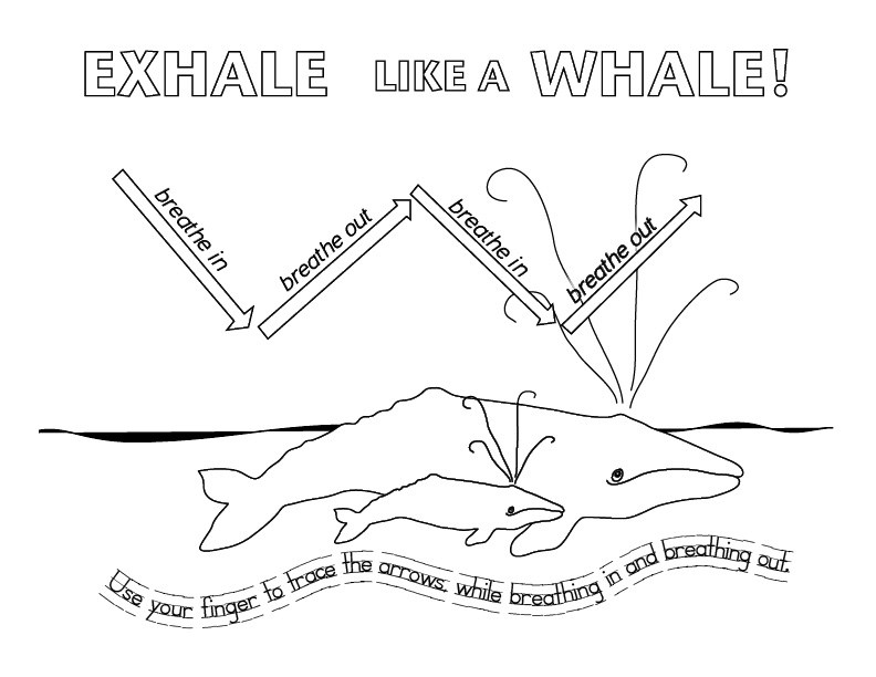 Exhale like a whale us national park service