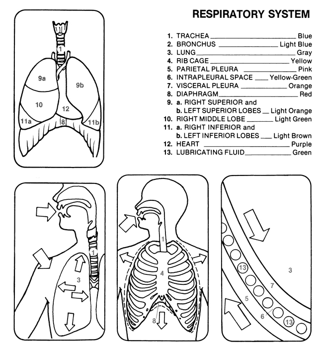 Wele to dover publications