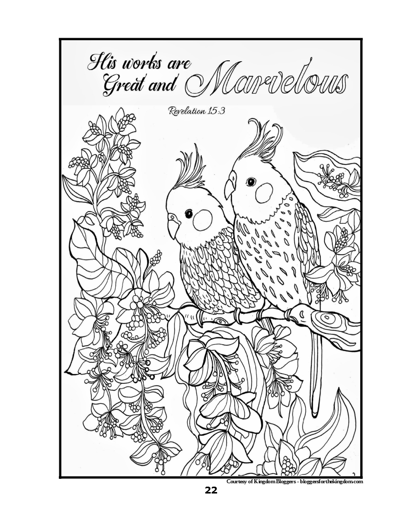 Christian adult coloring book â nursing home ministry resources