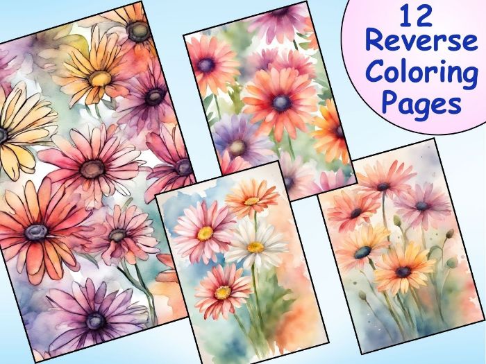 Transvaal daisy flowers reverse coloring pages teaching resources