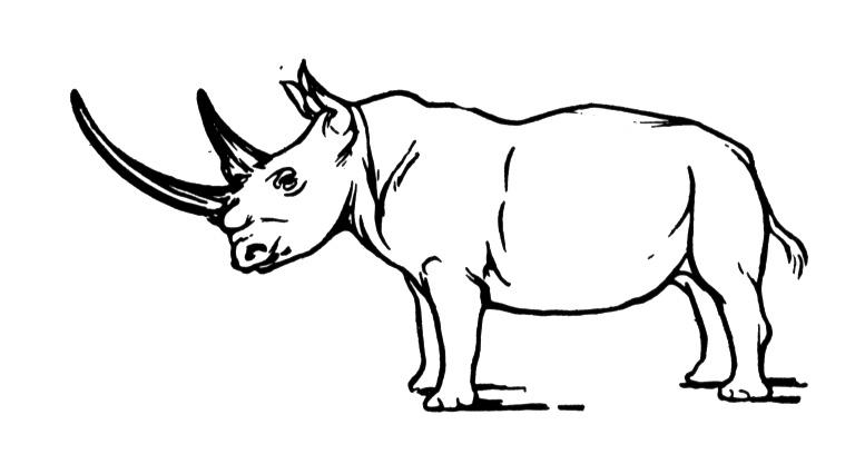 Free rhino coloring pages